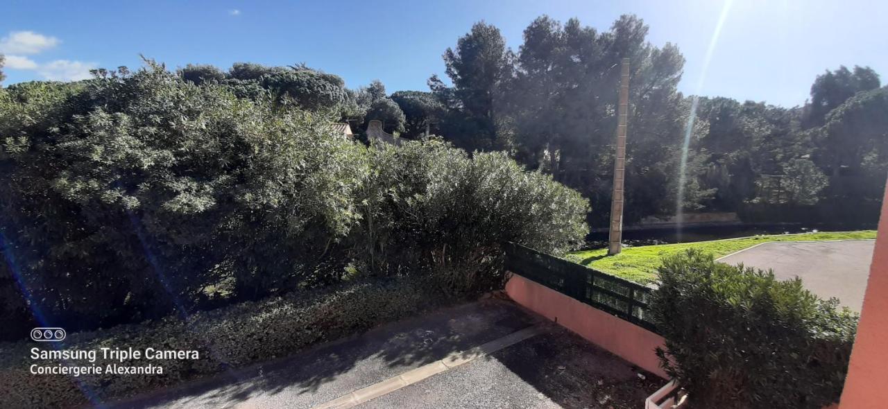 Appartamento Porto Cristo - Au Port Sans Vis A Vis -Wifi - Parking Saint-Cyprien  Esterno foto